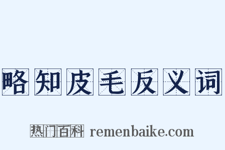 略知皮毛反义词是什么意思的图片